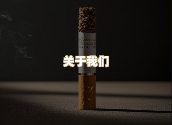关于御龙烟网
